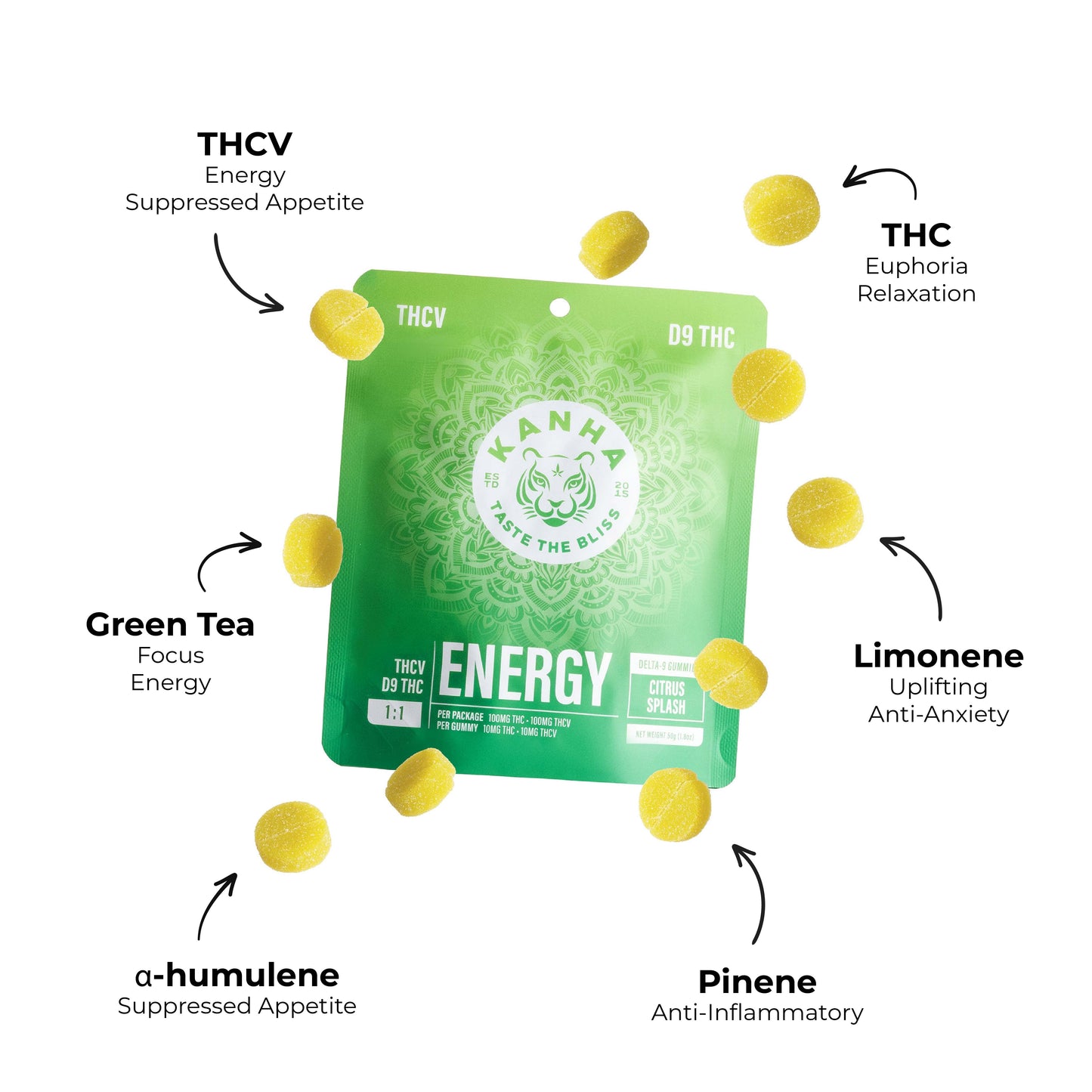 FX Energy