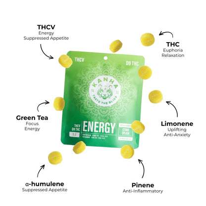 FX Energy