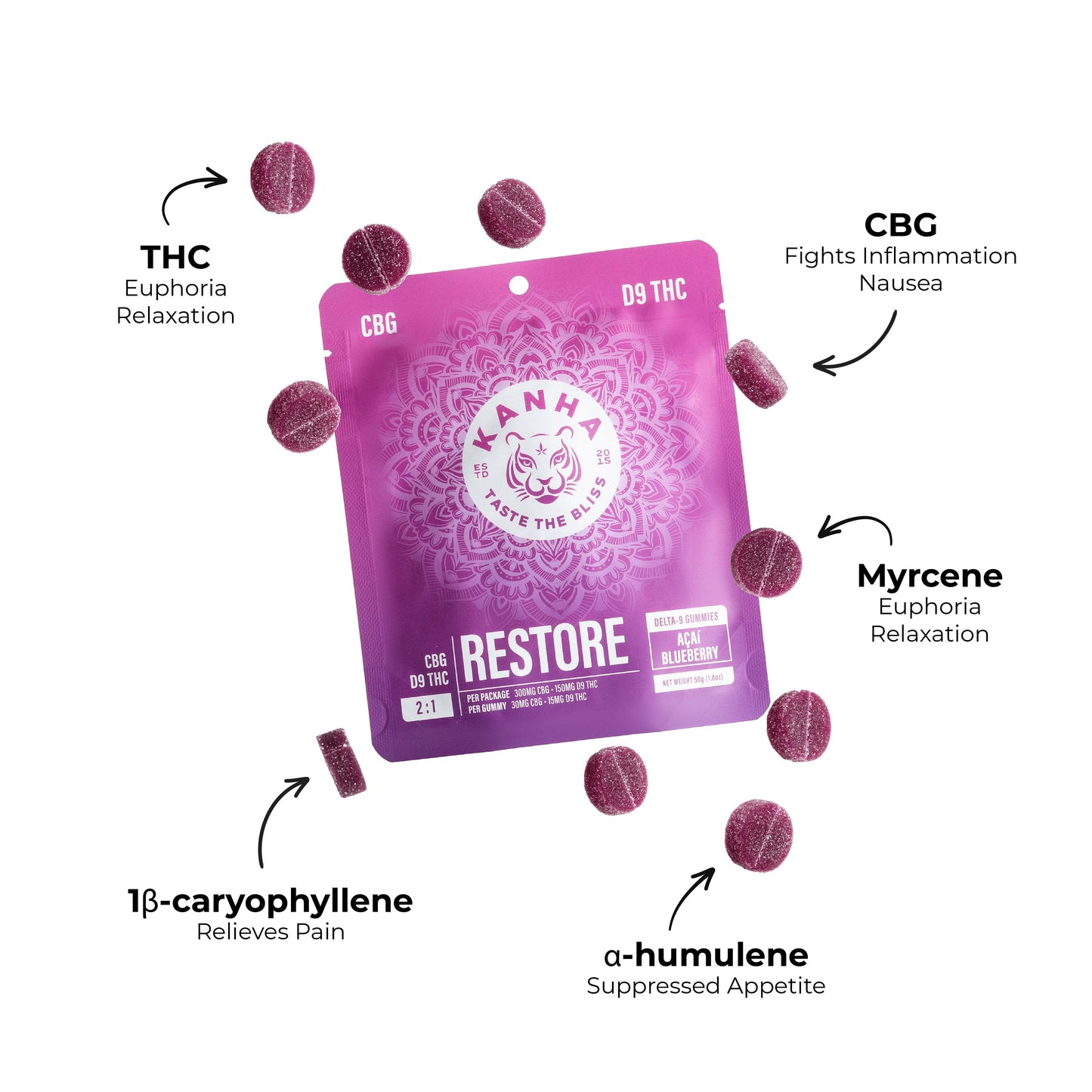 FX Restore
